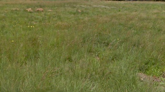  Bedroom Property for Sale in Deneysville Free State